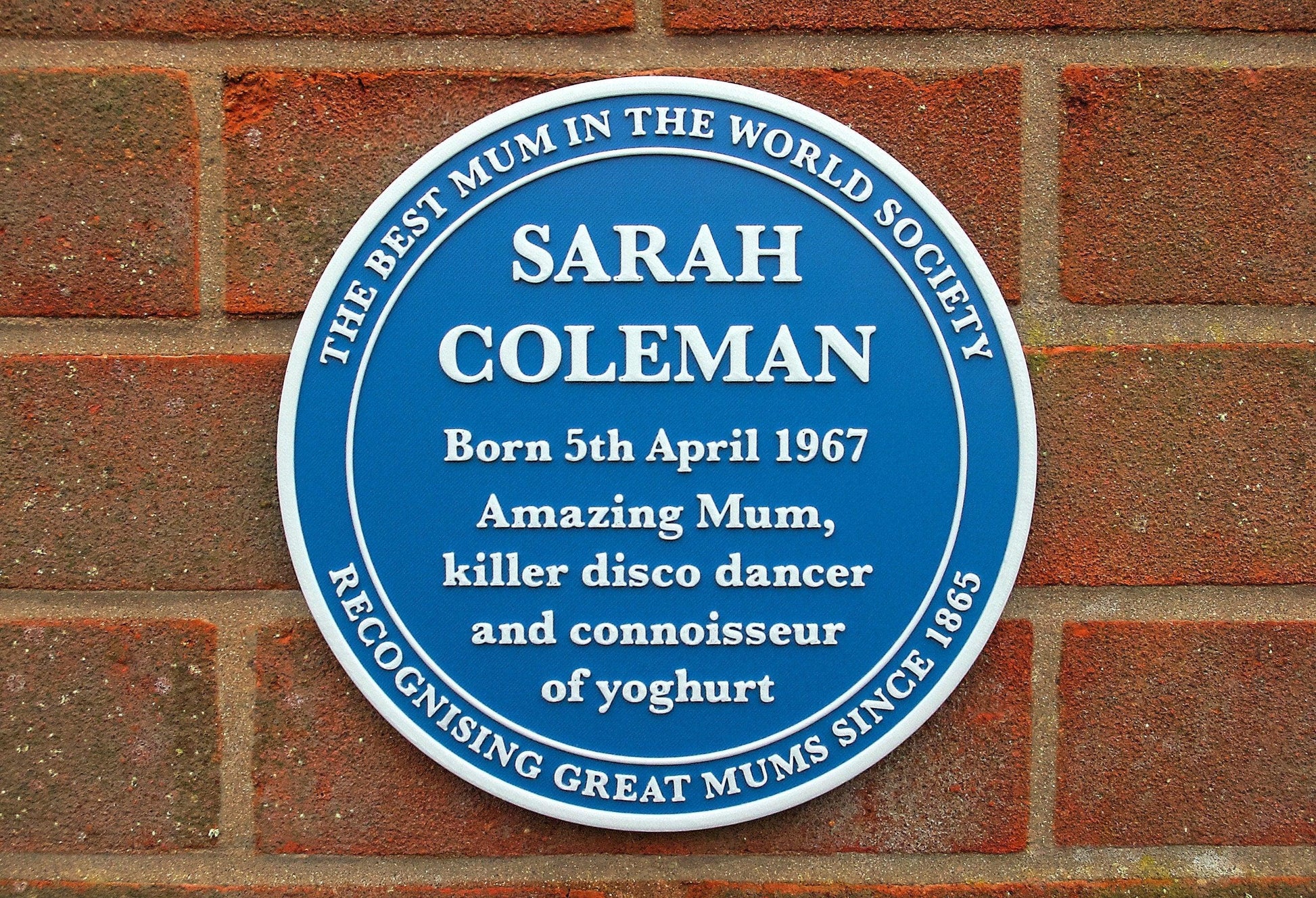 Replica Blue Plaque – 3D printed, totally bespoke to your order – Mother's Day, Father's Day, leaving gift, retirement gift, heritage, high quality raised text 3D printed plaque